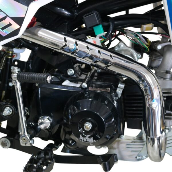 PIT BIKE 301 110CC