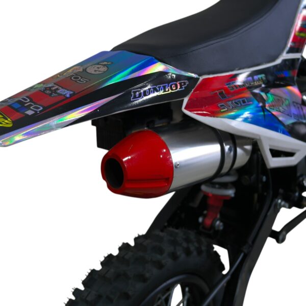 PIT BIKE 301 110CC