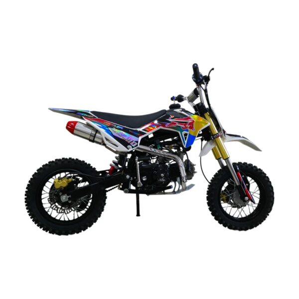 PIT BIKE 301 110CC