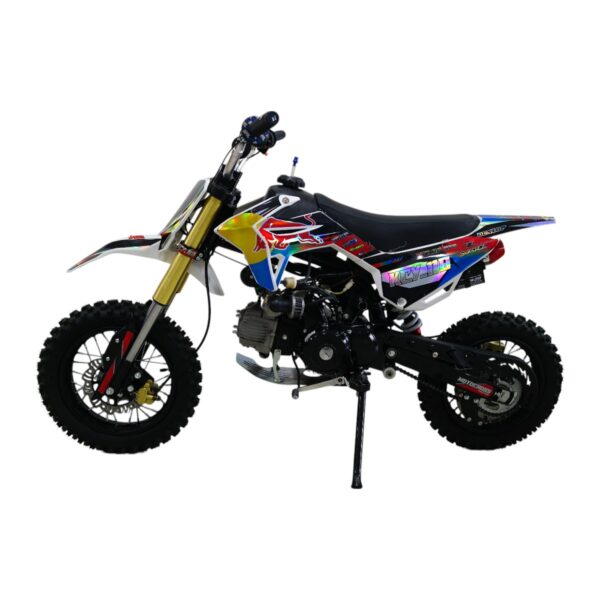 PIT BIKE 301 110CC