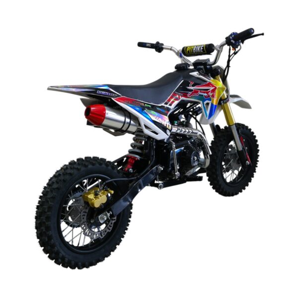 PIT BIKE 301 110CC